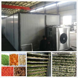 振科新型蔬菜烘干機(jī)的“長壽秘訣”